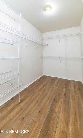 Building Photo - 8613 Little Field Way