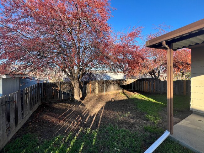 Building Photo - 1710 6th St