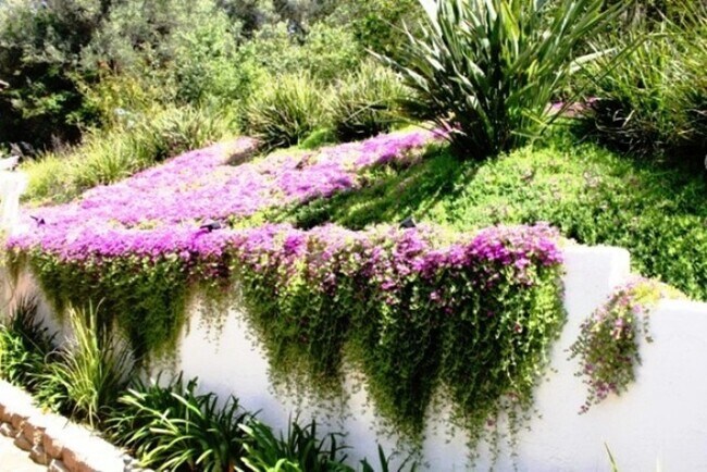 Building Photo - 1879 Fox Bridge Ct