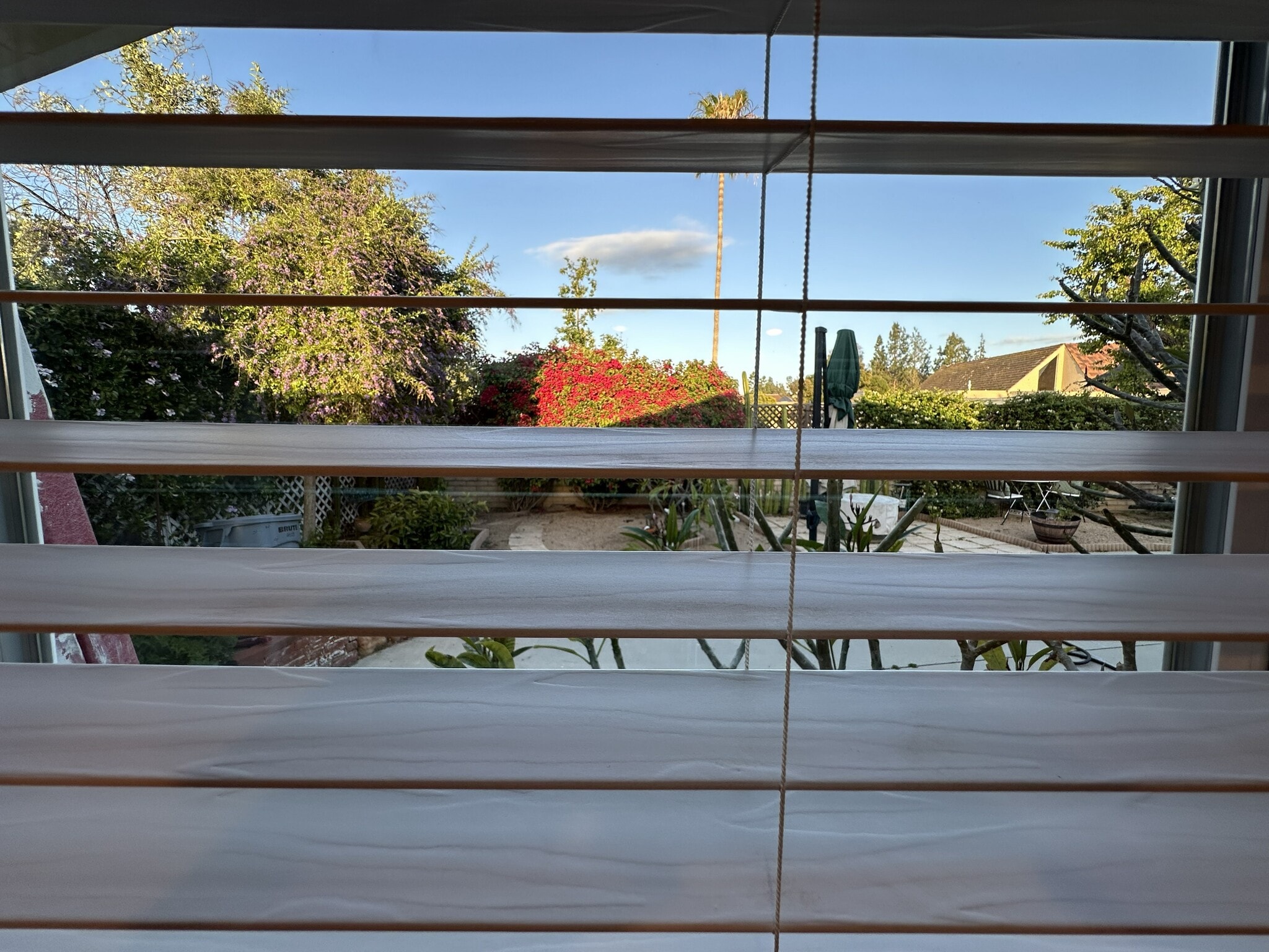 View out the bedroom to the backyard - 152 Redfield Ave