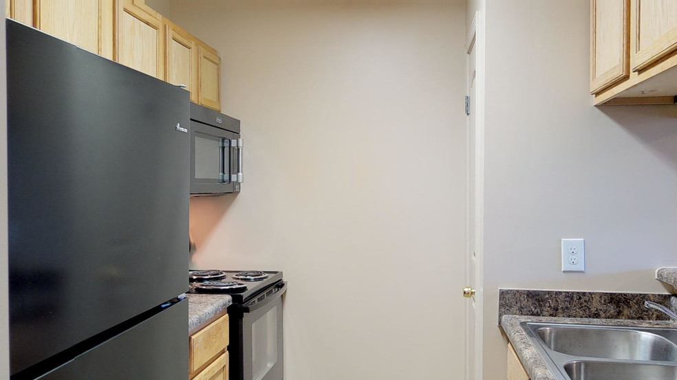 1 BR, 1 BA - 705 SF - Edge at Lakeview