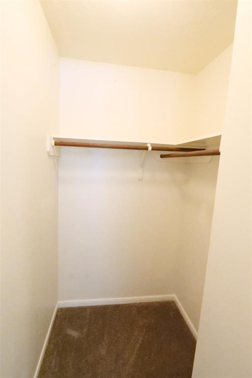 Building Photo - 20726 Baron Bend Ln