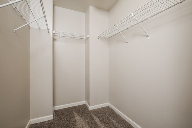 Building Photo - 8904 Elizabeth Bennet Pl