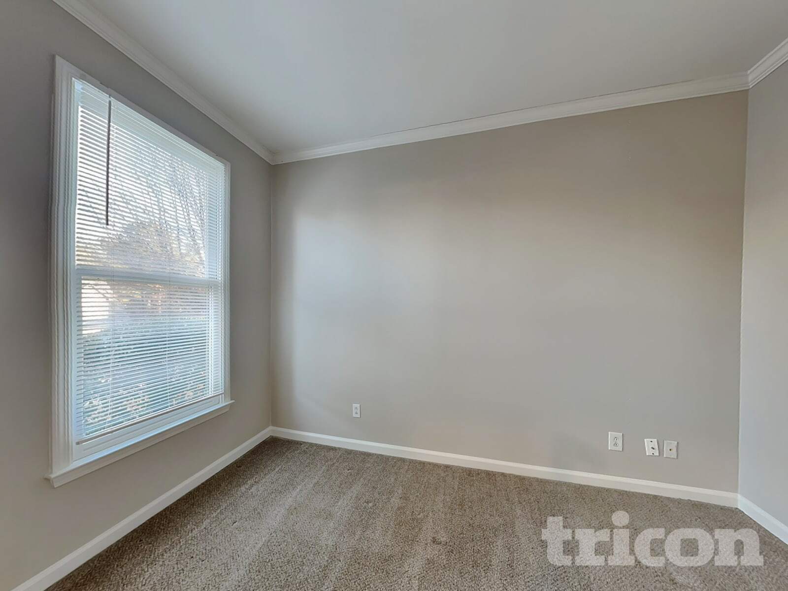 Building Photo - 4112 Trotters Way Dr