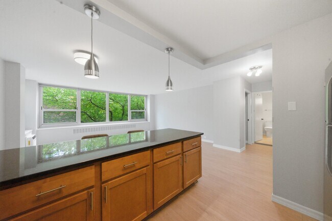 Building Photo - 1255 N Sandburg Terrace