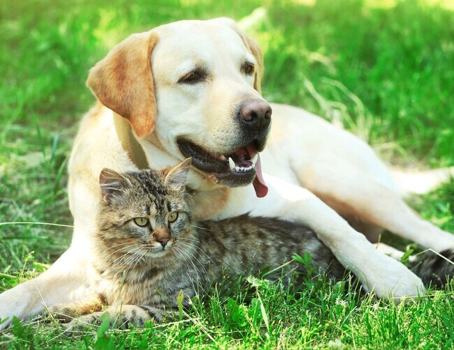 Building Photo - 1000-1003 W 25th Ave