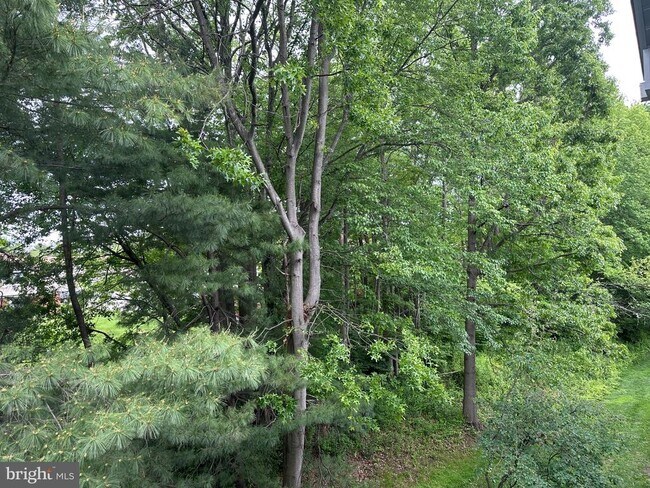 Building Photo - 65 Cheverny Ct