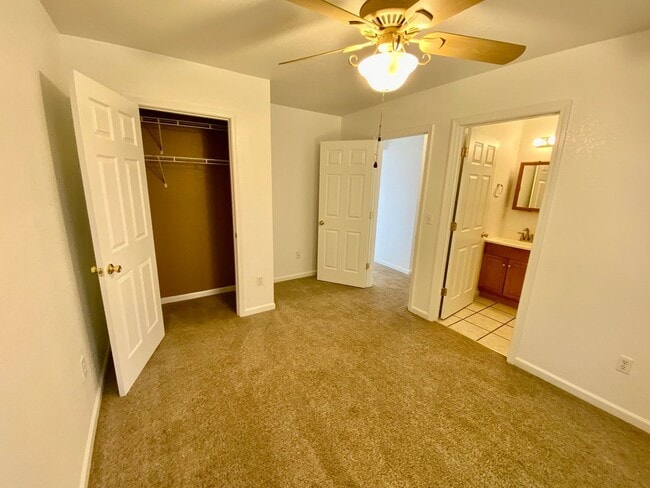 Building Photo - Candler - Two Bedroom updated apartment