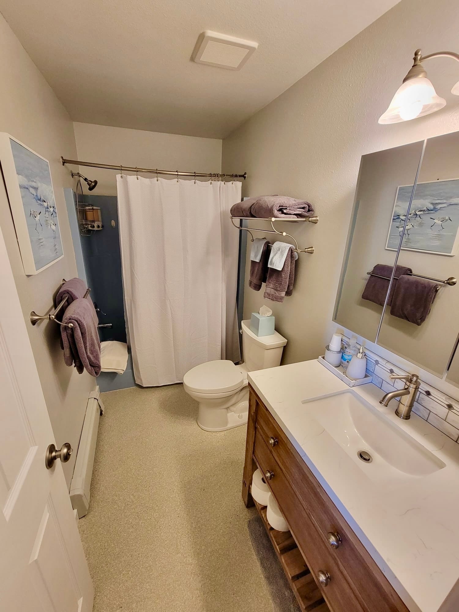 Newly remodeled bathroom - 1010 Steller Way