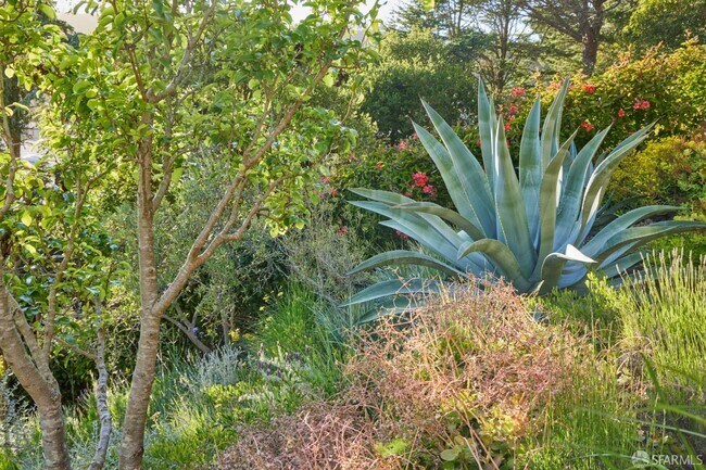 Building Photo - 169 Amber Dr