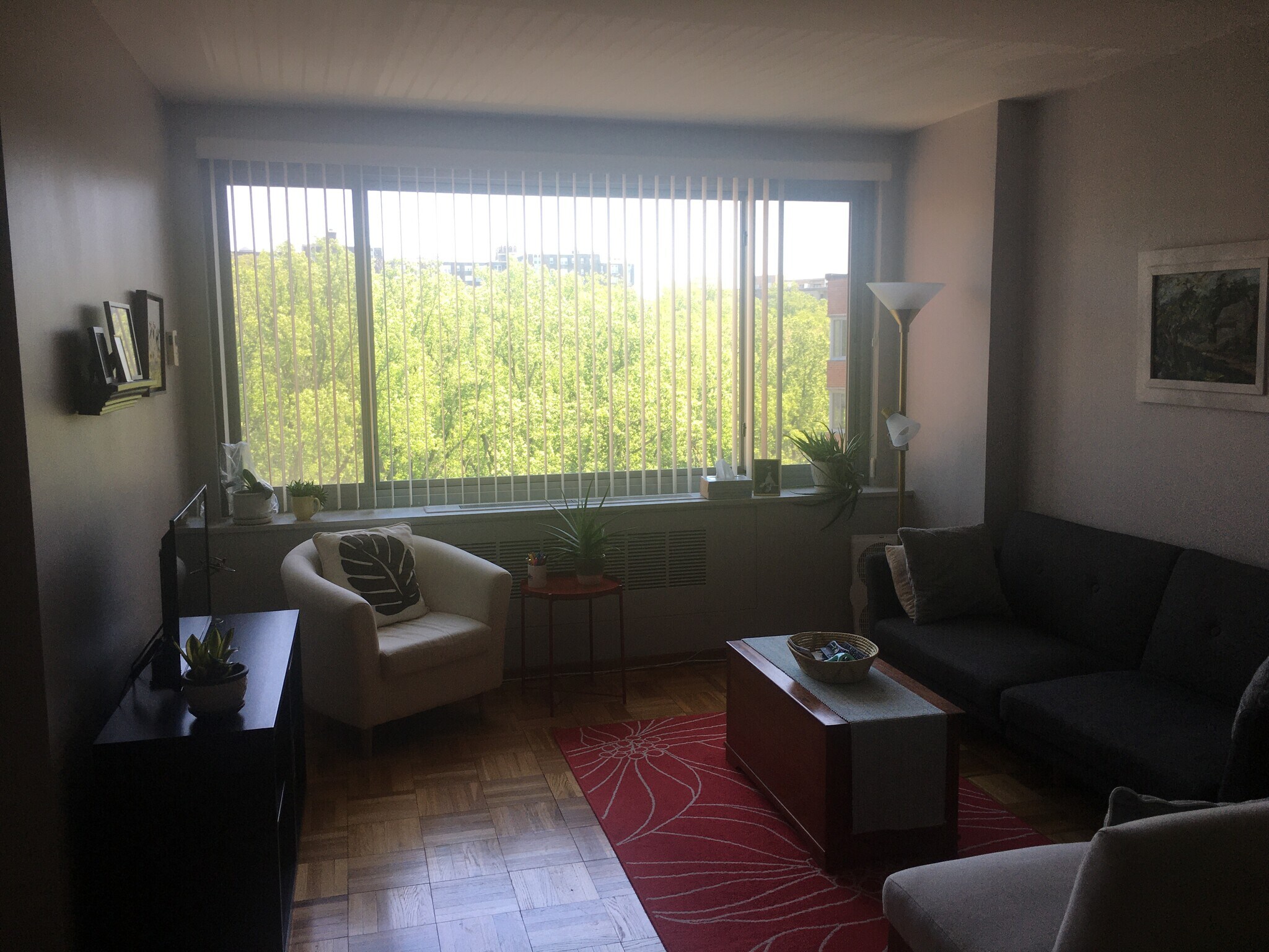 Living Room - 4200 Cathedral Ave NW