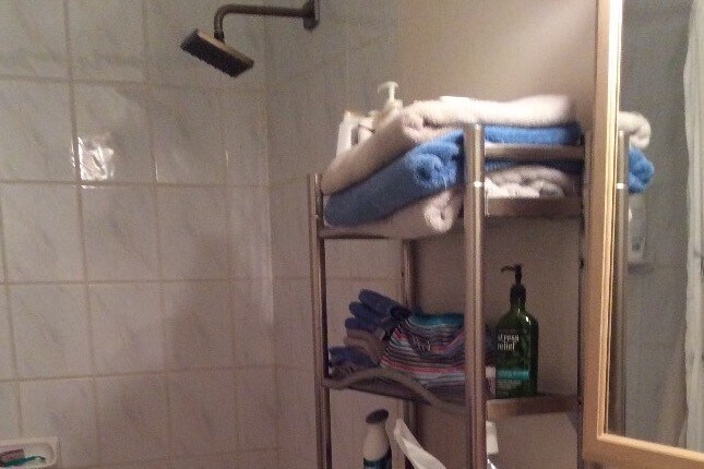 Bathroom - 423 Lawrence Rd