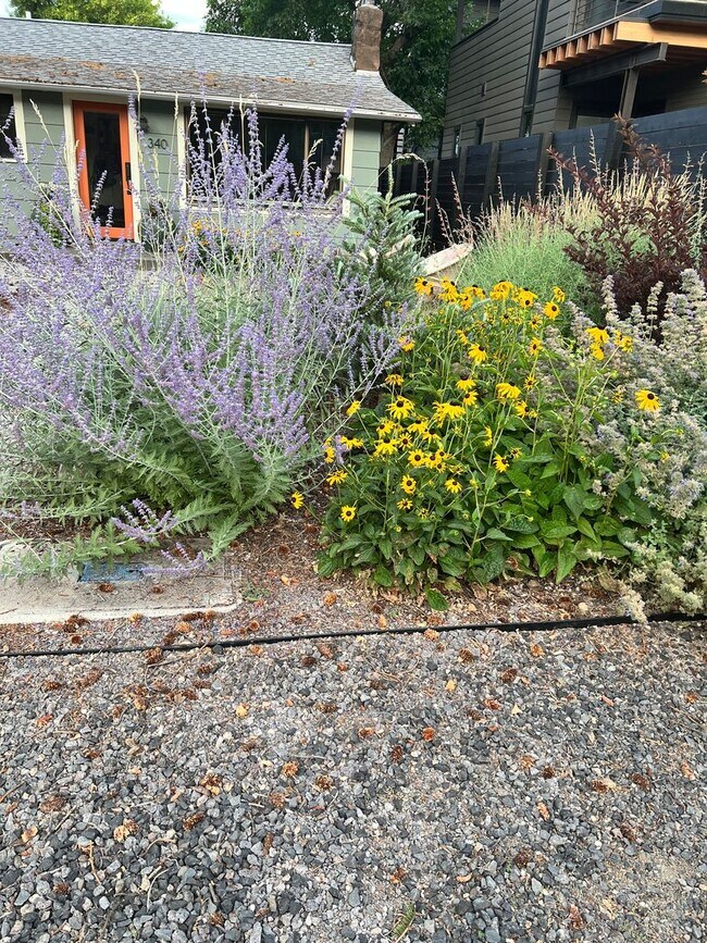 Building Photo - *Unfurnished* Charming, updated and walkable west side 3 BR + den/office