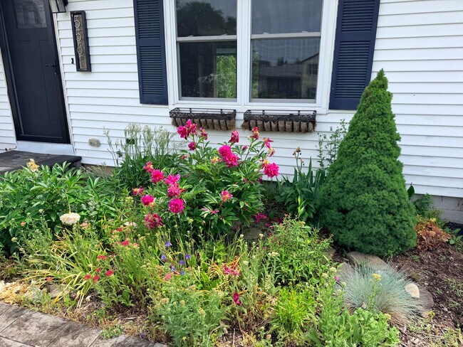 Building Photo - Spacious 4 Bedroom Split-Level Home in Clay, NY