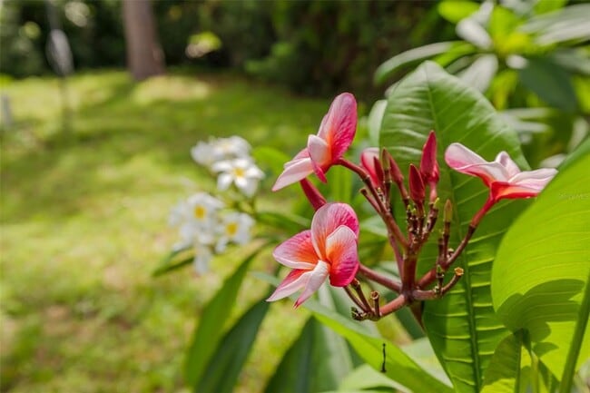 Building Photo - 1477 Pine Brook Dr