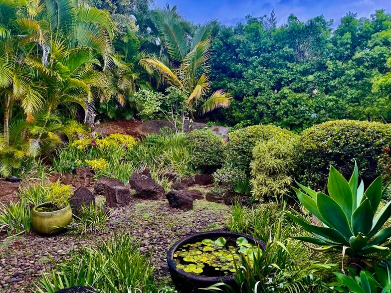 front yard - 2158 Halekoa Dr