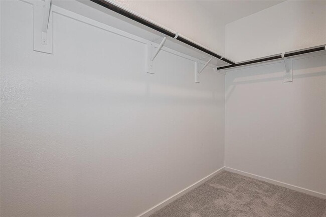 Building Photo - 433 Texas Pecan Dr