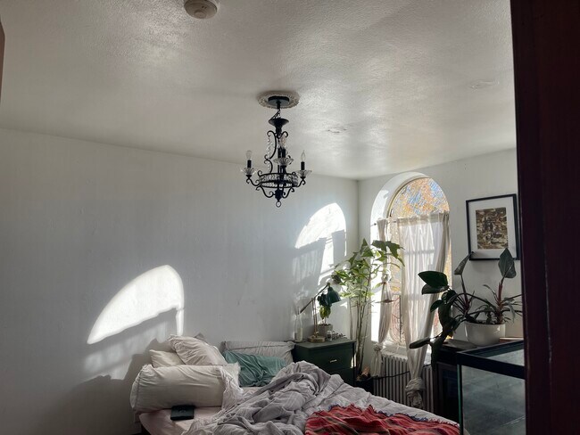 Building Photo - Olympia DT 504