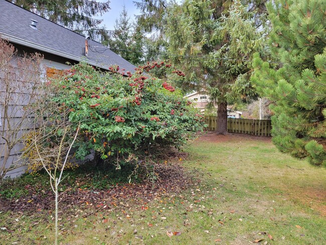 Building Photo - Two Bedroom Home in Port Townsend