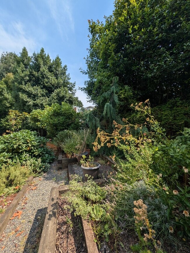 Building Photo - Capitol Hill Condo Available in June - Two Bedroom, High Floor Unit w/ A/C