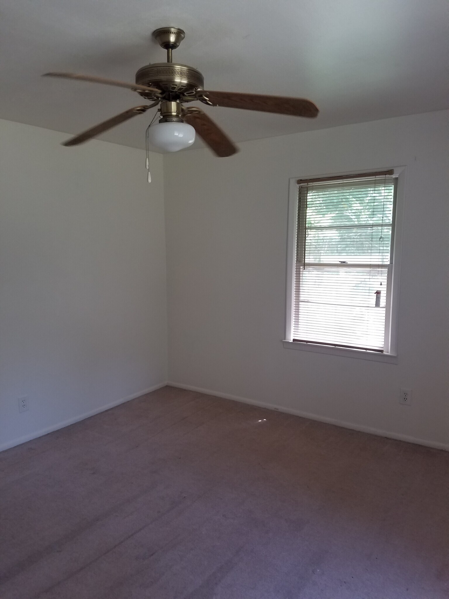 Downstairs bedroom 2 - 1975 Thomas Drive