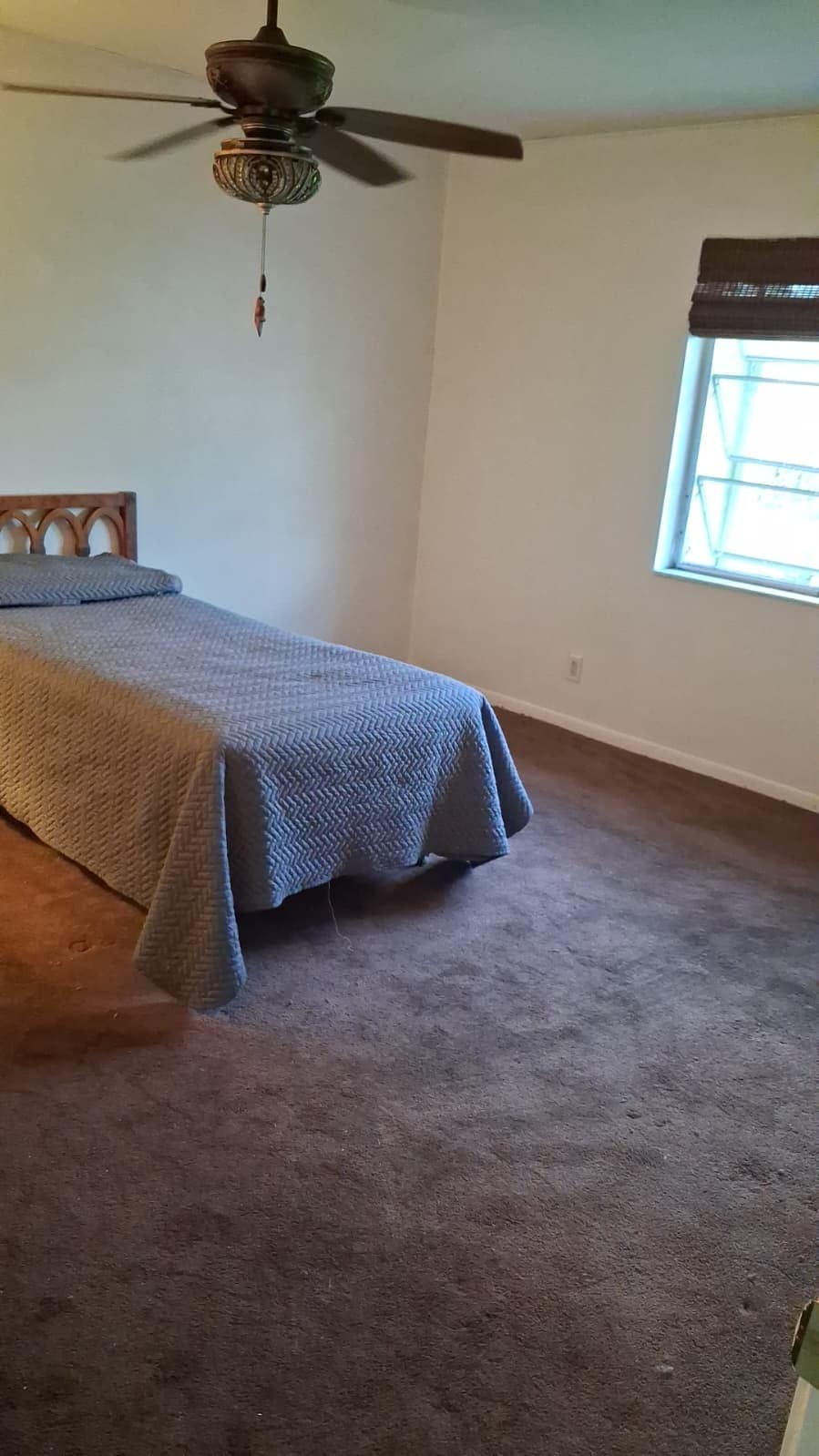 Building Photo - 2381 Papaya Dr