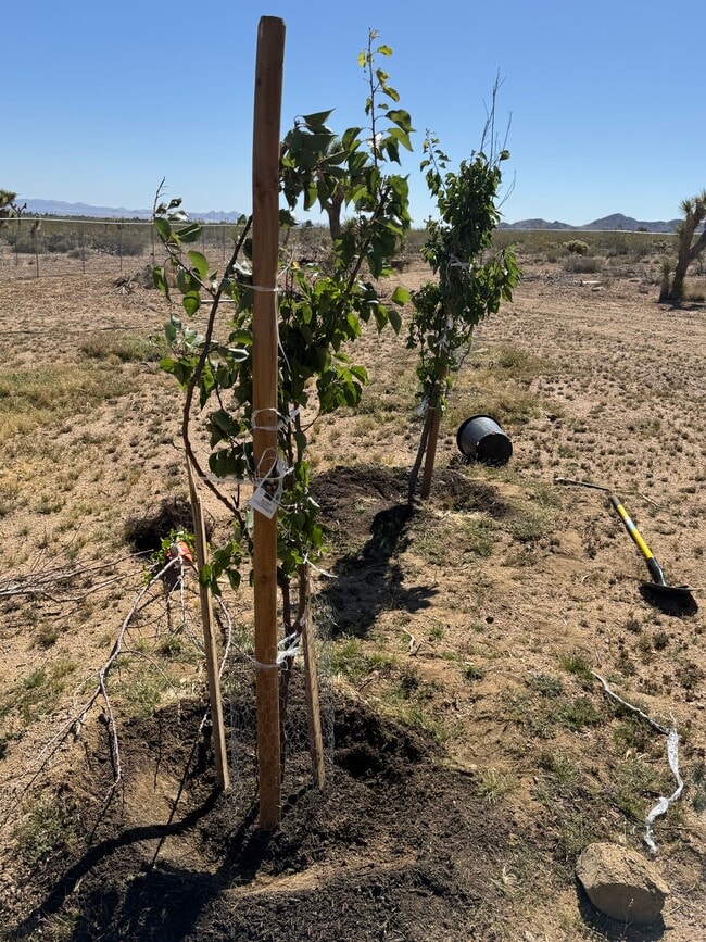 Building Photo - 9175 Alamo Ave