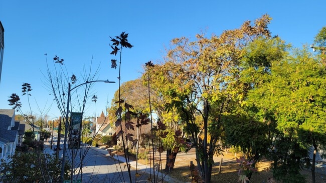 north view from balcony - 411 Park Ave