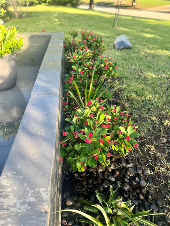 Building Photo - 1815 Barker Dr