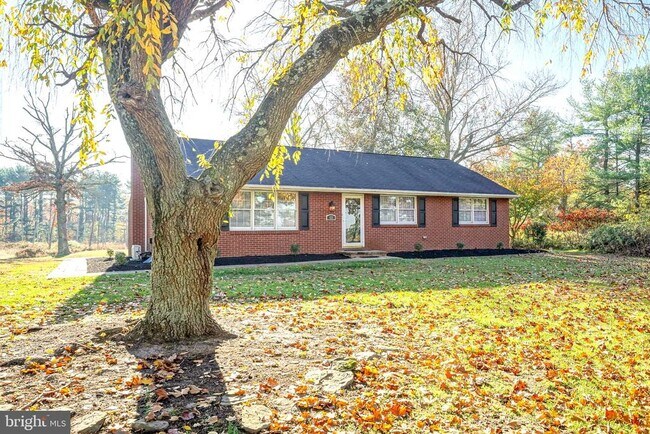 Building Photo - 123 Thies Rd