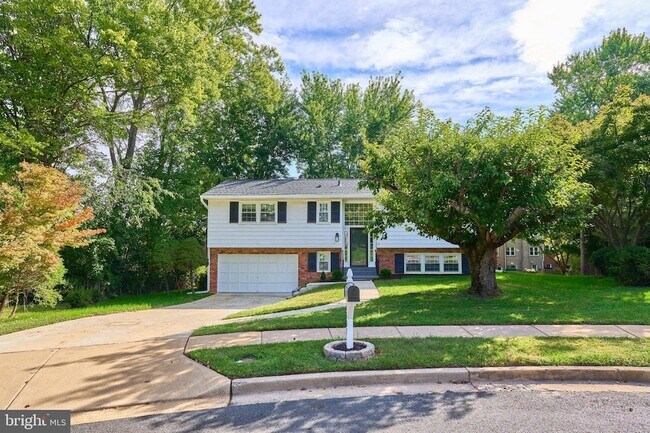 Building Photo - 2807 Schafflind Ct