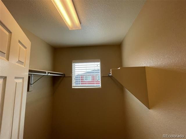 Building Photo - 12206 Stone Timber Ct