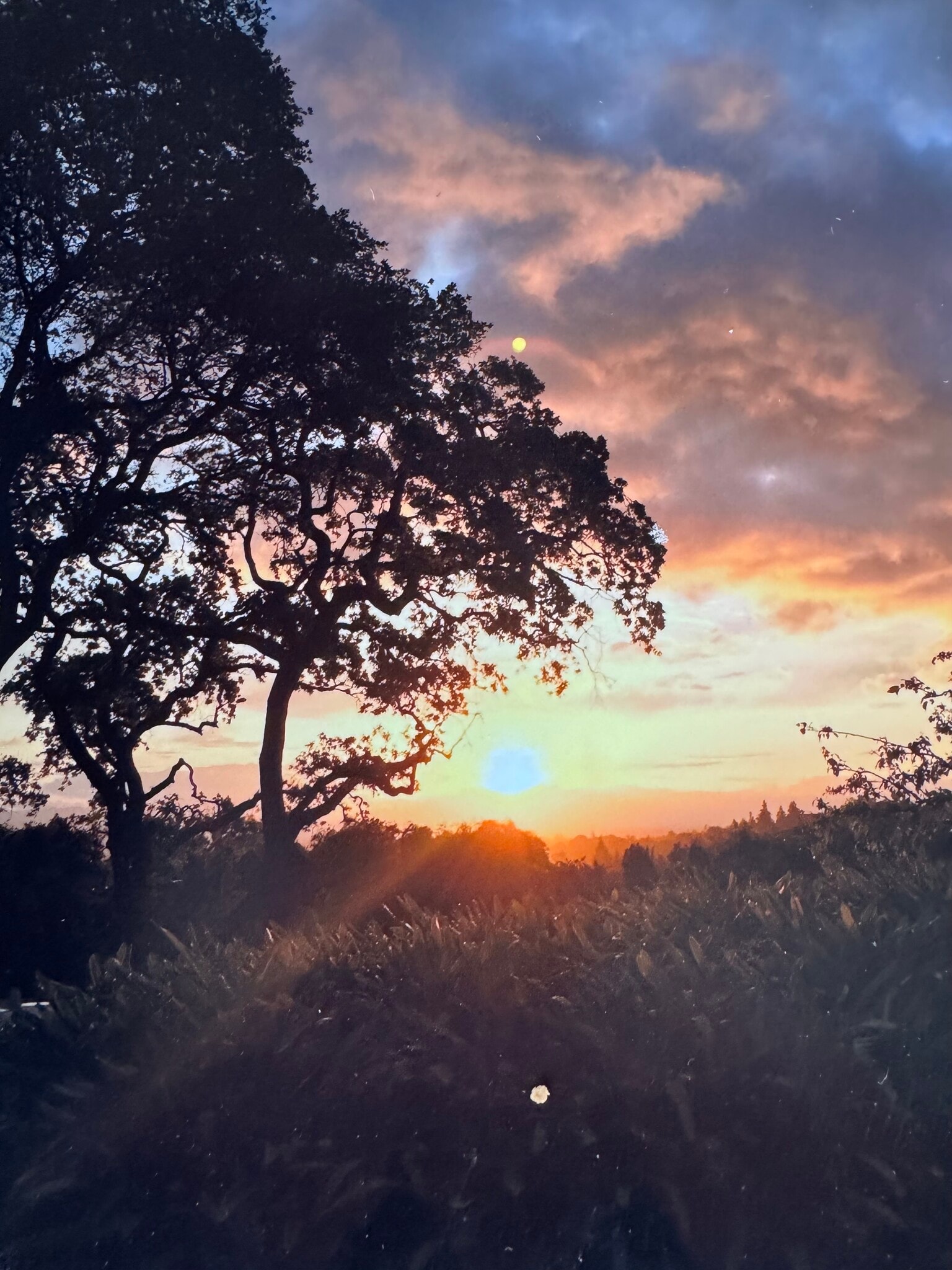 Building Photo - 25860 Altamont Rd