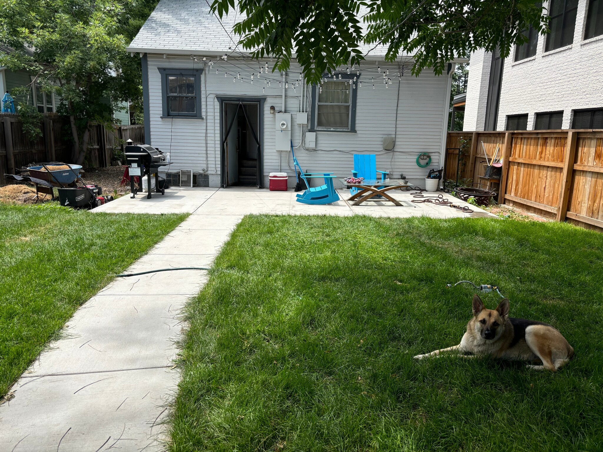 shared backyard/rear entrance - 1832 S Williams St