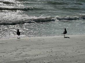 Building Photo - 13527 Siesta Pines Ct