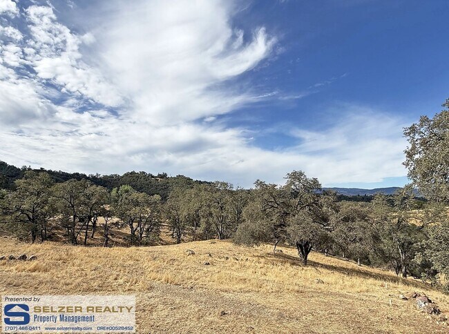 Building Photo - 3851 Black Bart Trail