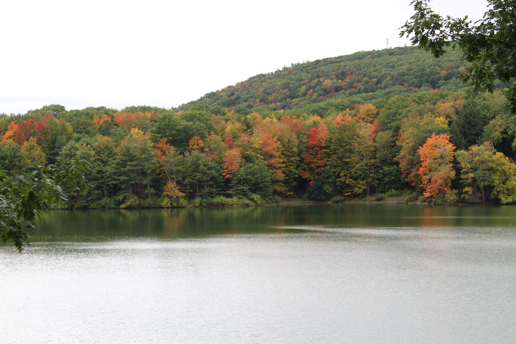 Beautiful views any season of the year - 102 Holiday Ln