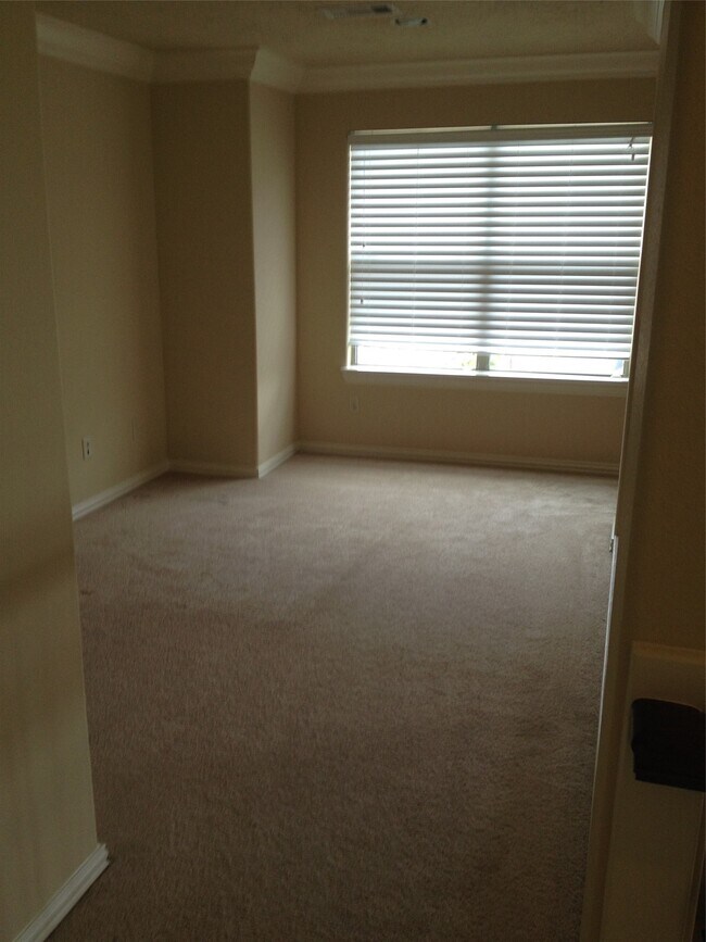 Building Photo - 2038 Palm Forest Ln