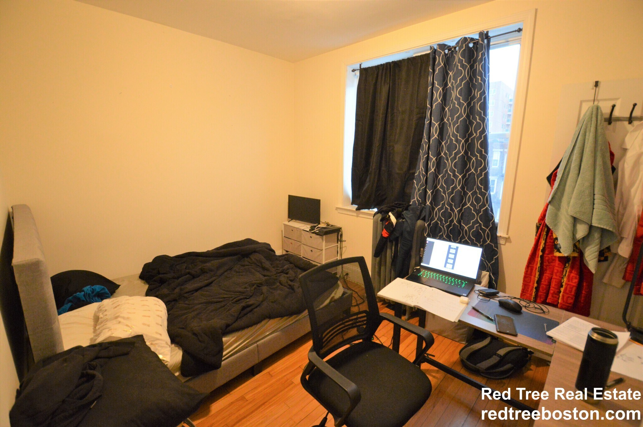 Building Photo - 60 Egmont St