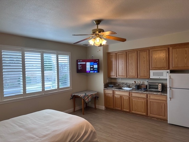 Building Photo - 11316 Rain Tree Ct