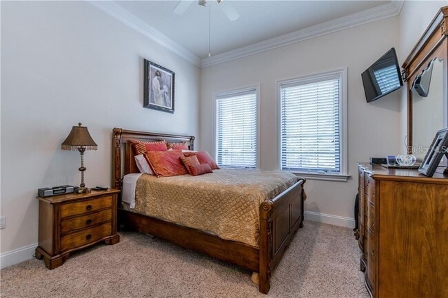 Building Photo - 3814 Villas Del Sol Ct