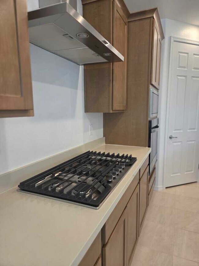 Building Photo - Brand new Home in Queen Creek