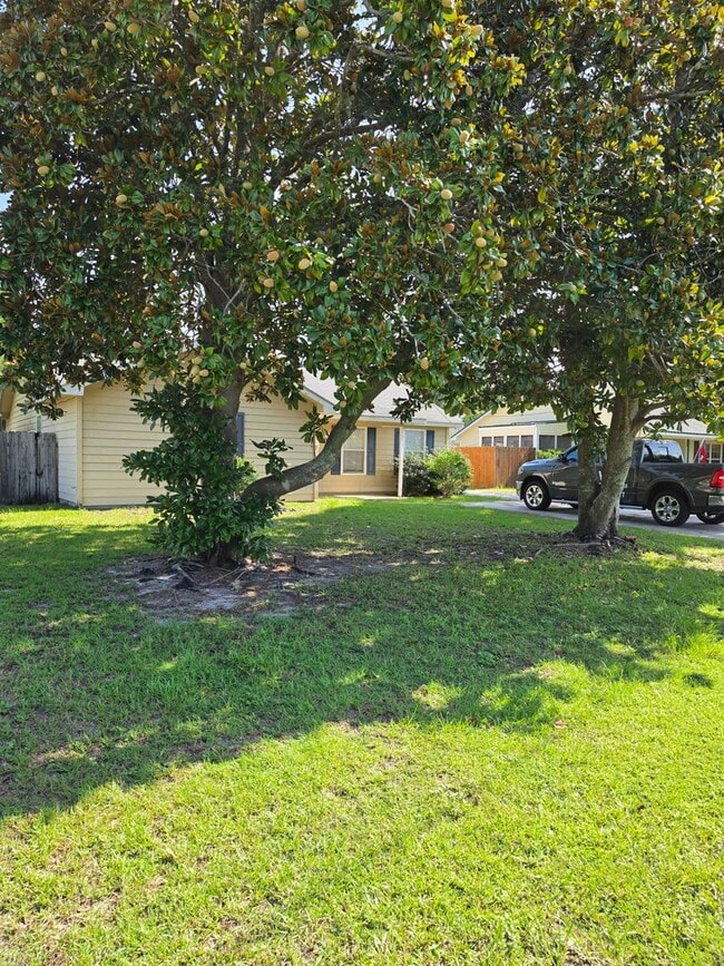 Building Photo - 620 Honey Ridge Ln