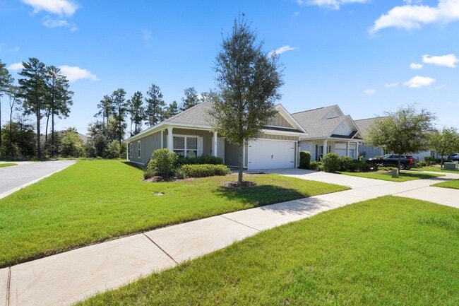 Building Photo - 55 Lightning Bug Ln