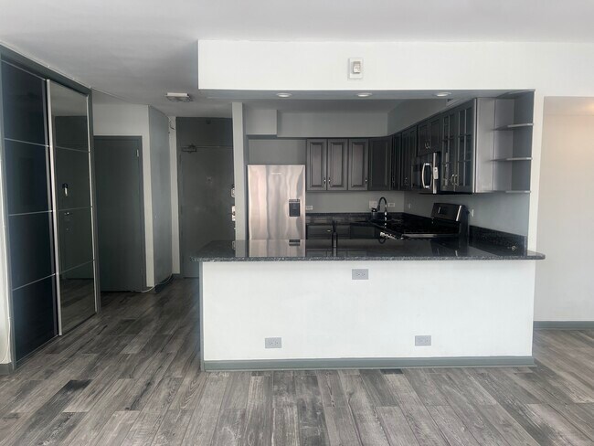 Building Photo - 1000 N Lake Shore Dr