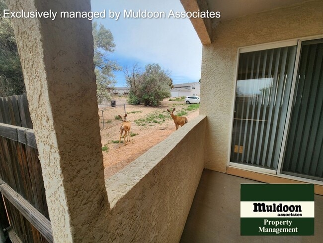 Building Photo - Nice Pueblo West Duplex ready now!