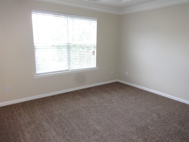 Building Photo - 3870 Brushymill Ct
