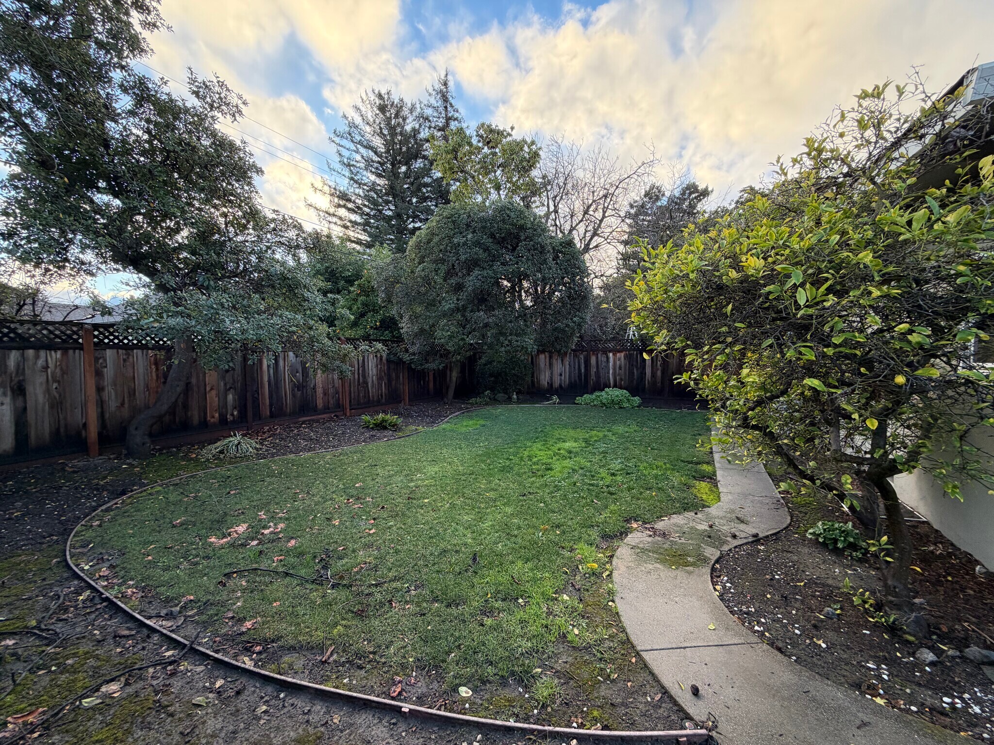 Backyard - 195 Murlagan Ave
