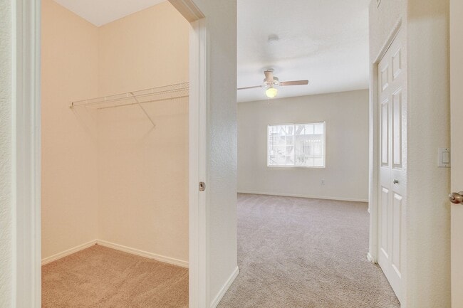 Building Photo - Beautiful 2 Bedroom 2 Full Bath Condo