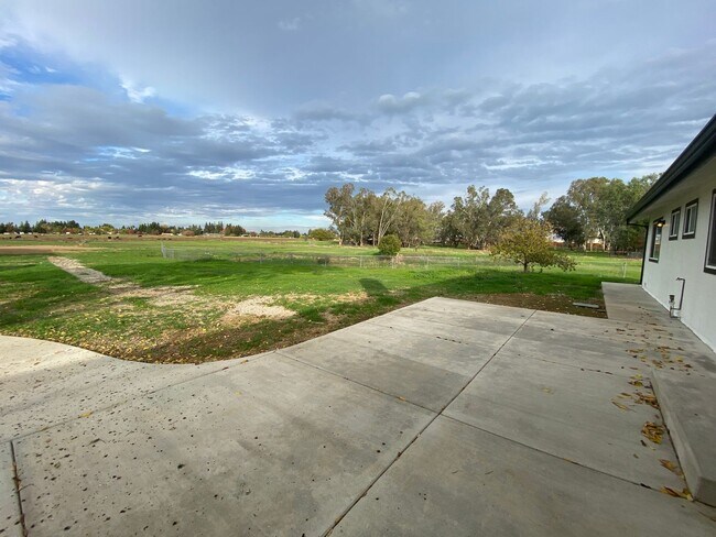 Building Photo - Fully Renovated Home on 5 Acres